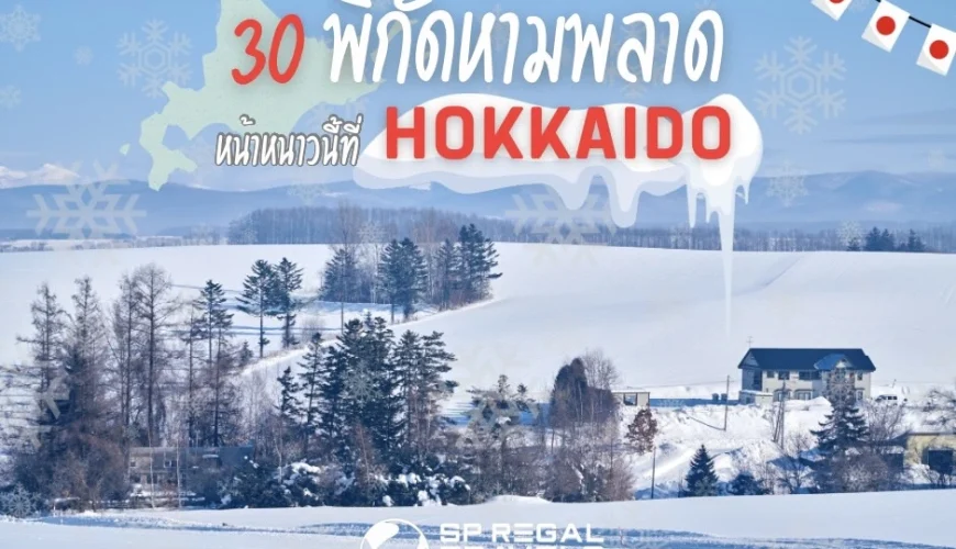 เที่ยวฮอกไกโดหน้าหนาว