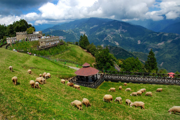 ทัวร์ไต้หวัน ทะเลสาบสุริยันจันทรา วัดเสือมังกร ขึ้นกระเช้าชมทะเลสาบสุริยันจันทรา ตลาดกลางคืนอีต๋าเช่า ฟาร์มแกะชิงจิ้ง สวนสวิส แม่น้ำอ้ายเหอ ตลาดกลางคืนเฟิงเจี่ย เมืองไถหนาน ถนนเก่าอันผิง วัดฝอกวงซาน