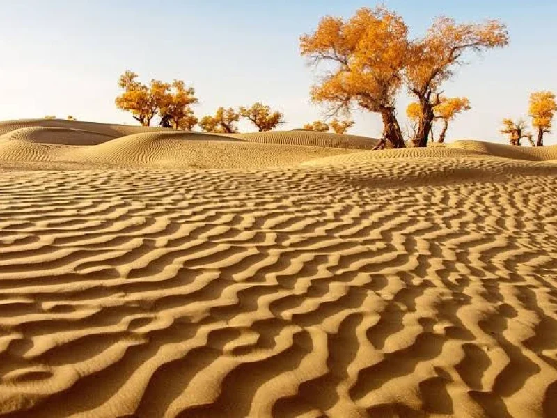 20 พิกัด เที่ยวซินเจียง